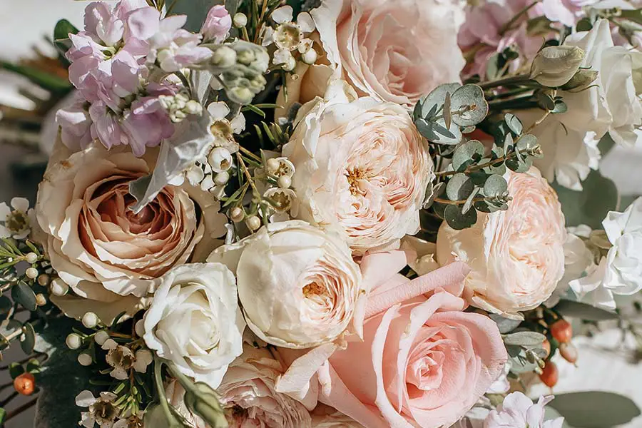 Podziękowania dla rodziców - tekst